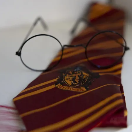 Апартаменты Casa Harry Potter