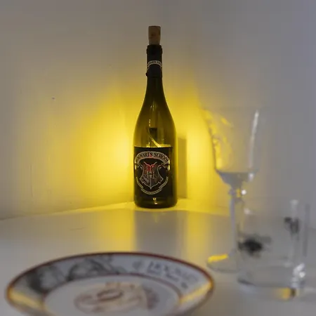 Casa Harry Potter Apartament Turyn