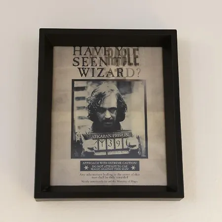 Casa Harry Potter Турин